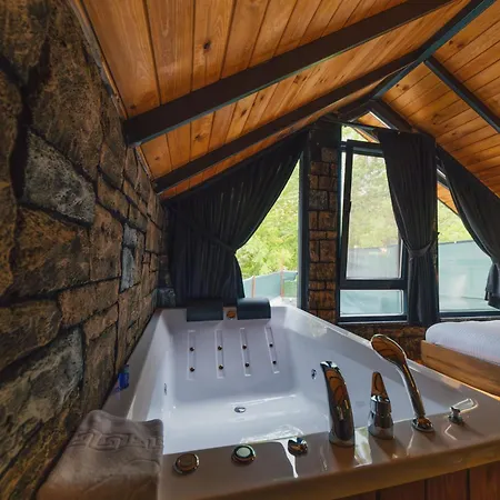 Tree Masukiye 4* Картепе