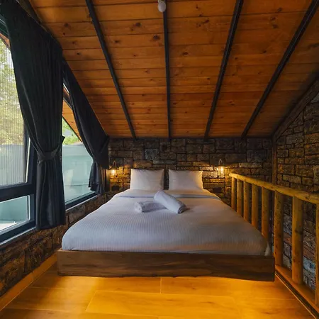 Tree Masukiye Bed & Breakfast