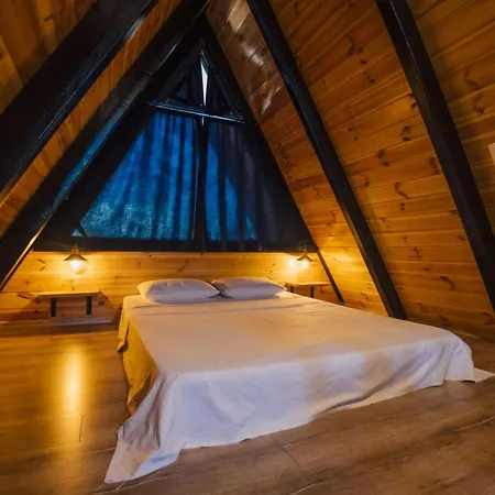 Tree Masukiye Kartepe